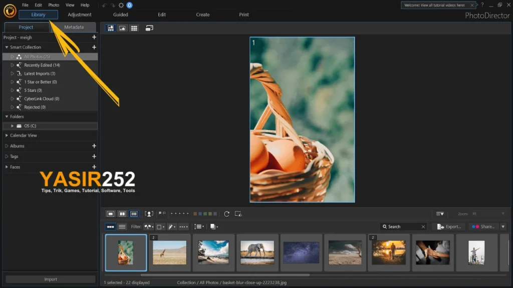 CyberLink PhotoDirector Ultra Repack