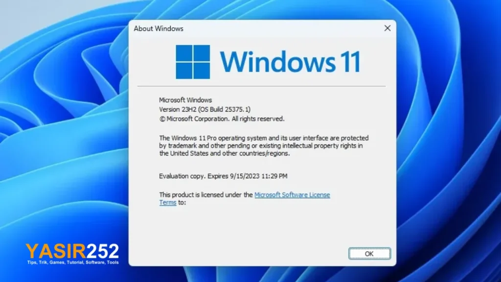 Windows 11 Pro with MS Office 2021 Pro Plus Repack