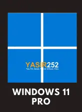 Windows 11 pro