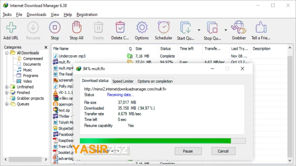 Internet Download Manager Portable Repack 